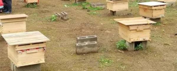 猴头手串哪个品种好