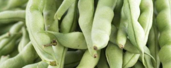 近甜一号适合哪些地方种植，适合种植在甘肃的酒泉、张掖、武威等地