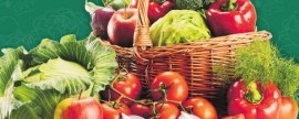 对绿色食品使用肥料的原则，需遵循以有机肥为主、化肥为辅的原则