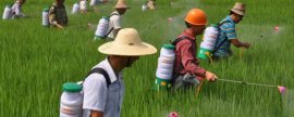 栀子花和茉莉花哪个好养