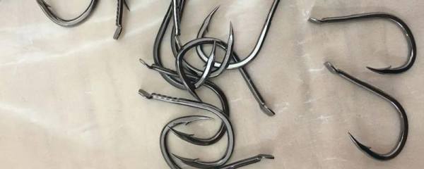 黄皮果实发育有哪些特点？黄皮什么时候开始落果