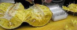 观音莲的作用，主要用作观赏