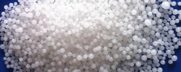 水培栀子花的方法，需洗净消毒后再插入水中