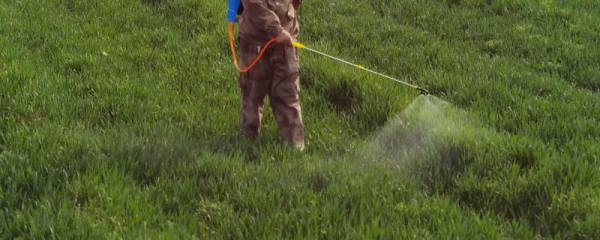 氯吡嘧磺隆的使用方法，不同作物的用药量不同