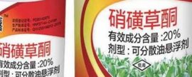鹅头上的包是什么东西，属于鹅的肉瘤