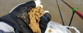 虎皮鹦鹉一窝下几个蛋，家养的通常产4-7枚