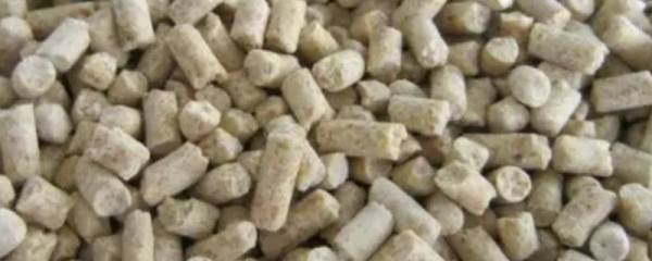 陇鉴9828小麦品种简介，适宜播种期9月中旬～下旬