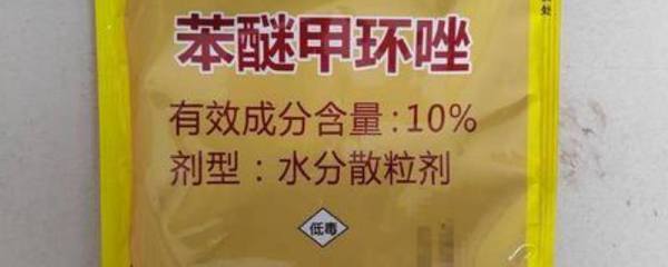 布谷鸟是保护动物吗，被列入“三有”动物