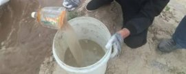 地栽茶梅春天移栽好吗，什么时候是最佳移栽时间