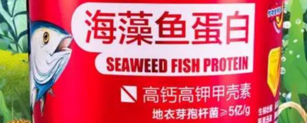 猫长到什么时候开始发育成熟，猫发情有哪些表现
