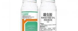 黑鱼冬天为何容易死亡，入冬后抵抗力较差、容易被冻死