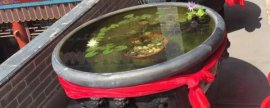 脱水机怎么操作，按下冲洗泵按钮可启动工作