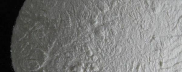 浙两优丽晶水稻种子特征特性，一般5月中旬至5月下旬播种