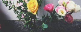 普洱茶多少钱一克，市面上价格区间大揭秘