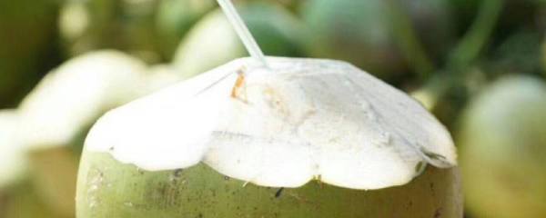 如何让七彩神仙鱼繁殖，可将亲鱼放在同一个缸内让它们自然授精