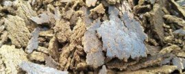 什么是饼肥，一般指种子经过榨油后剩下的残渣