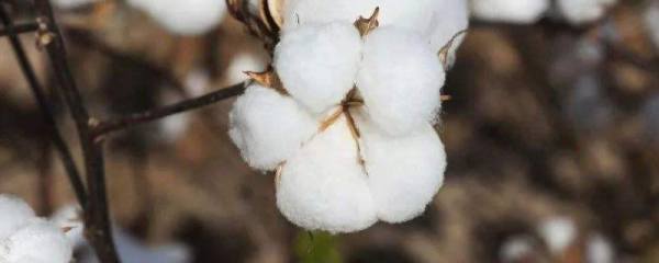 农药兑水量计算公式