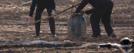 农家肥加“添加剂”，可使肥效提高