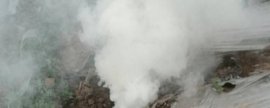 枸杞籽如何种小盆栽，注意防治病虫害