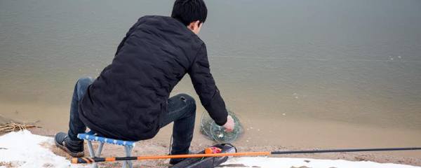 榆林杨树叶，生长环境、特点及用途