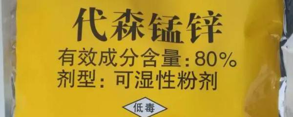 大葱的亩产量是多少
