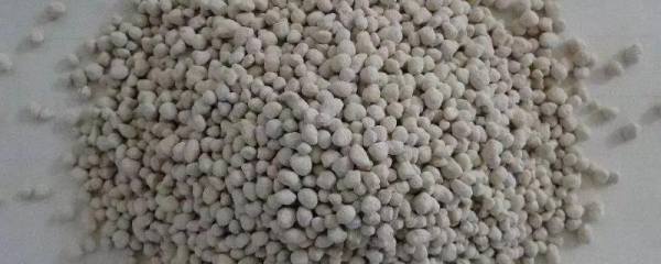 黄瓜坐果期使用哪些肥料