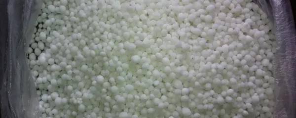 杏子的种植方法，杏子能出苗吗