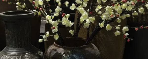 刺梨多少钱一斤：刺梨的市场价一般在20~40元/斤