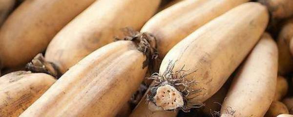 莲子可以种出莲花吗：可以，但过程并不容易