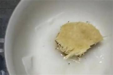 猴子花多少年开一次