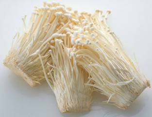 春天适合种什么花