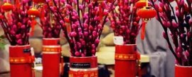 荷花的寓意象征意义