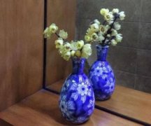 苹果树叶子发黄怎么回事