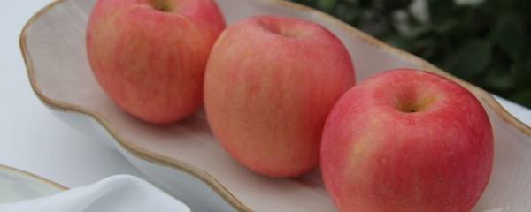 苹果是在什么季节成熟，秋季7～11月会成熟