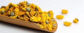 蒲包花花期怎么养护，光照控温控水停肥
