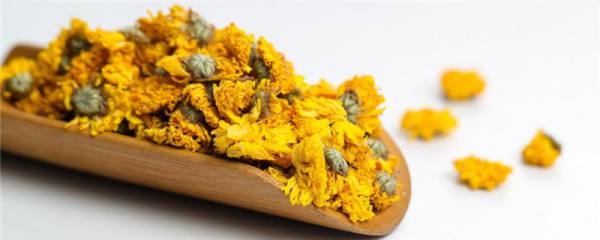 蒲包花繁殖应注意些什么
