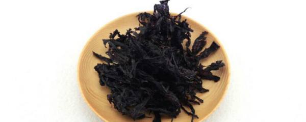 凤仙花几天浇一次水