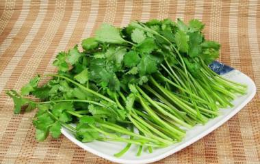 家养盆栽睡莲种植方法，固定睡莲茎梗水淹没叶子