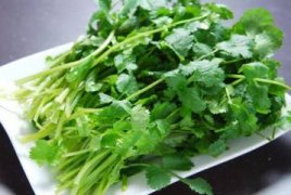菊花茶的制作方法，清洗晾干开水浸泡