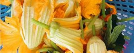 垂丝海棠花期：花期在3-4月份（可观赏时间大概在半个月左右）