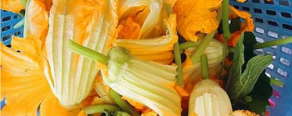 垂丝海棠花期：花期在3-4月份（可观赏时间大概在半个月左右）