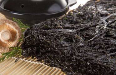 天门冬如何爆盆