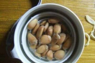 怎么判断鸭脚木用不用浇水