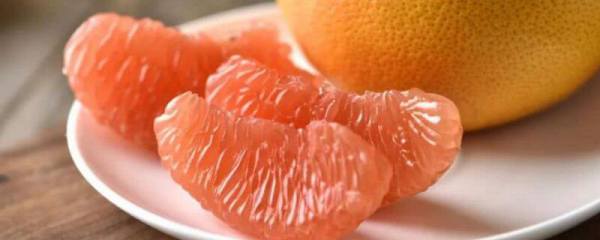 金鱼草怎么养
