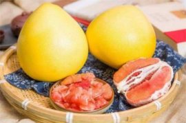 葡萄绿枝嫁接几天能看出成活