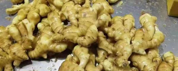 入夏后米兰为何纷纷落叶