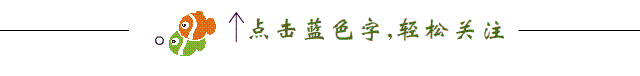 用石头养兰花：根壮叶绿开花多