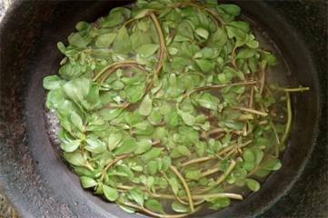 怎样延长蟹爪兰的花期：放在5℃左右的环境下
