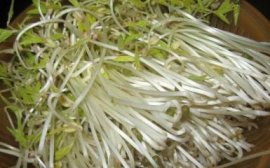 三角梅只长叶子不开花怎么办