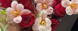 扶郎花的花语是什么